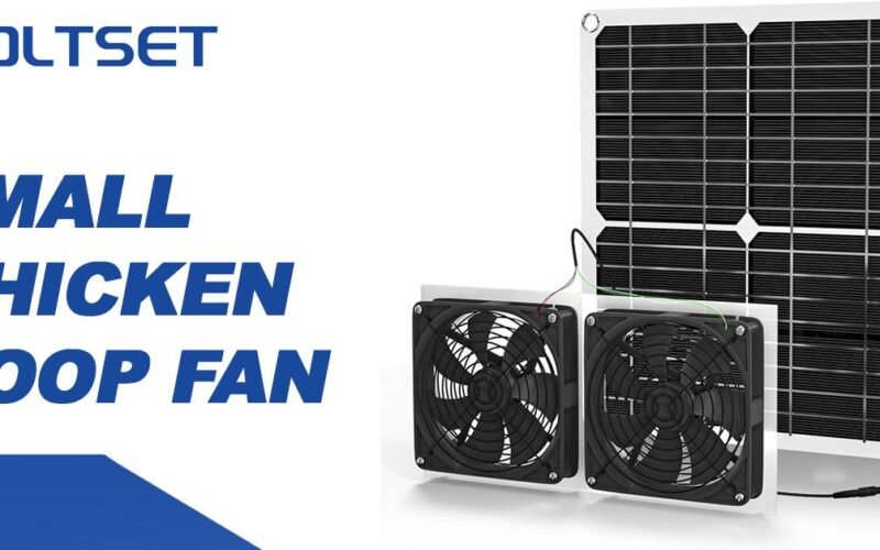 Small chicken coop fan Featured Image