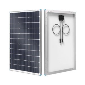 renogy 100W